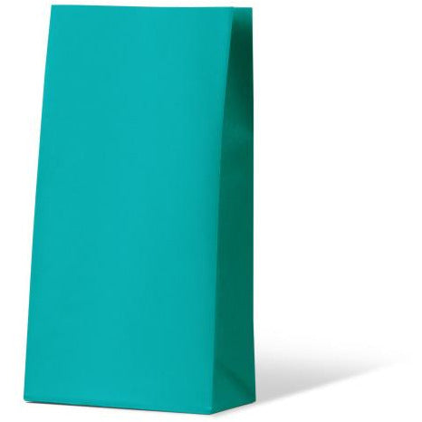 Beach Blue Coloured Gift Paper Bag - Medium