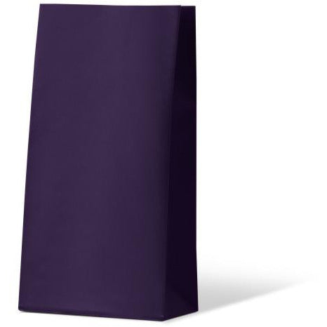 Passion Purple Coloured Gift Paper Bag - Medium