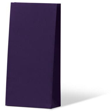 Passion Coloured Small Gift Paper Bag -  Purple