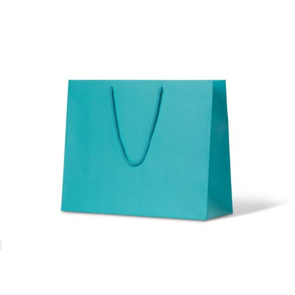 Laminated Matte Madison Paper Bag - Aqua