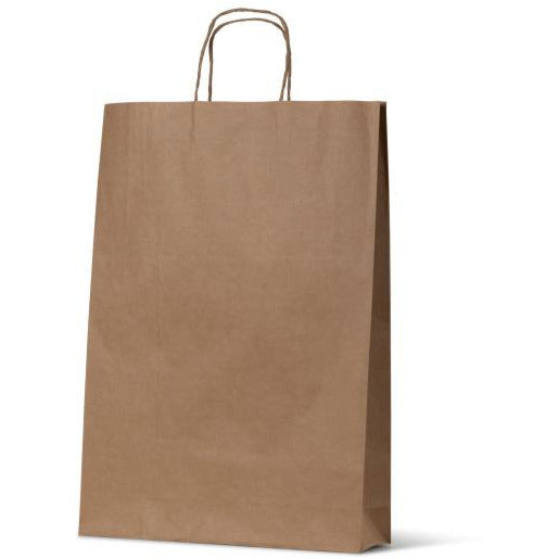 Brown Kraft Paper Bag - Medium 110 Gsm